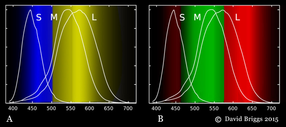 Color Cancellation Chart