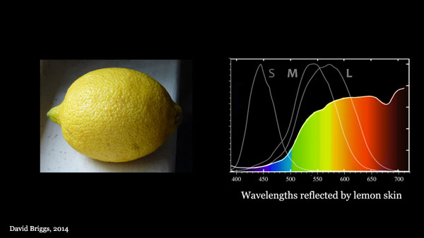 Dimensions of Colour, colour vision, opponency, trichromacy, Michael Stevens, Steve Mould